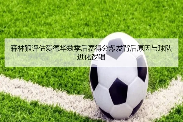 森林狼评估爱德华兹季后赛得分爆发背后原因与球队进化逻辑