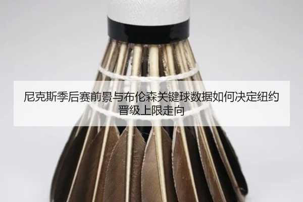 尼克斯季后赛前景与布伦森关键球数据如何决定纽约晋级上限走向